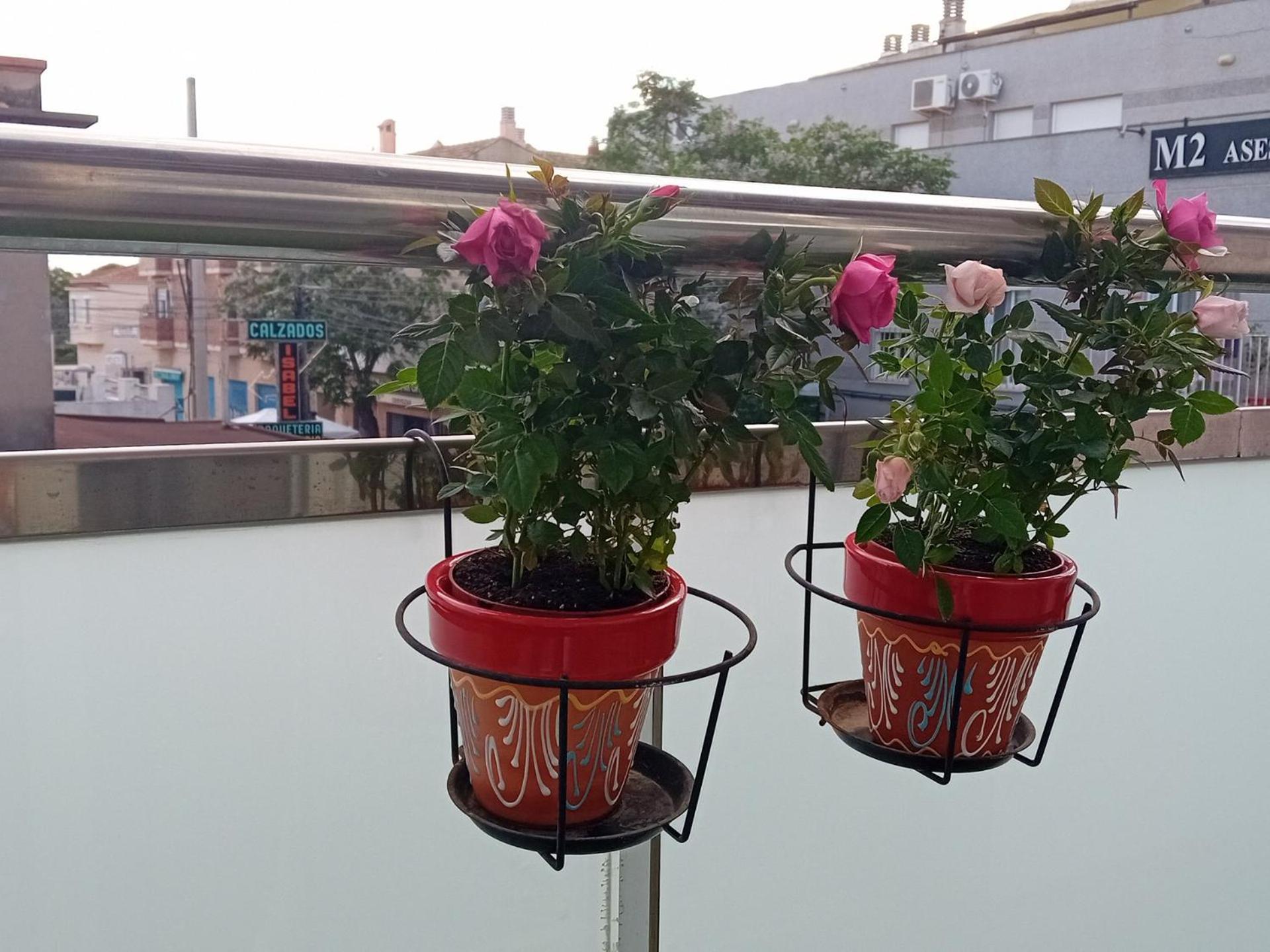 El Estudio De Las Mariposas,Sofa Cama , Cocina Y Bano Partida de La Canada Ngoại thất bức ảnh